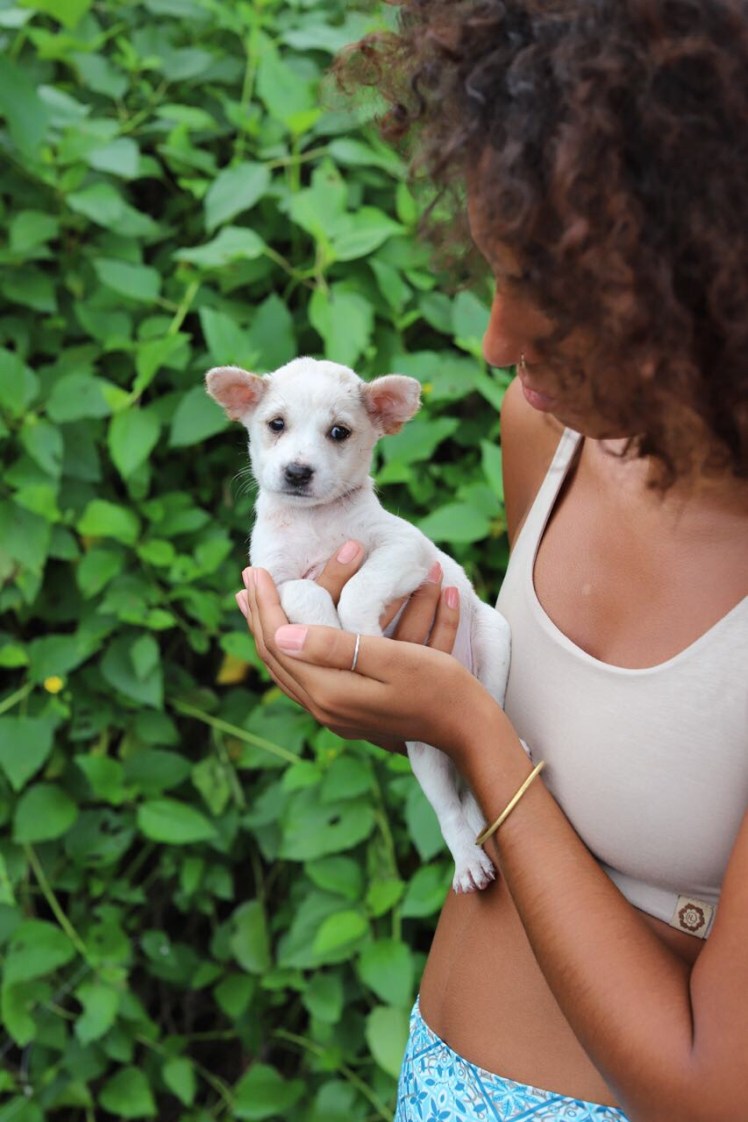 1de63efb-7d1a-422c-836d-403933ea2a01-1