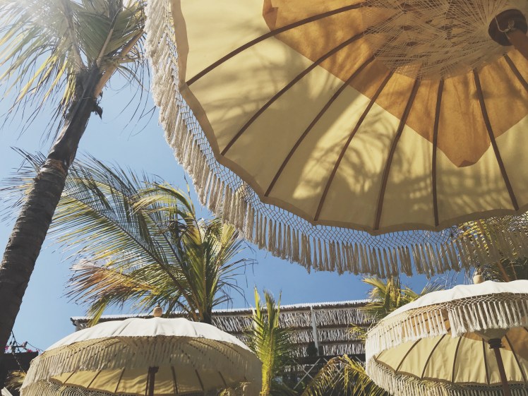 35518943_182948232546485_6543215274810671104_n