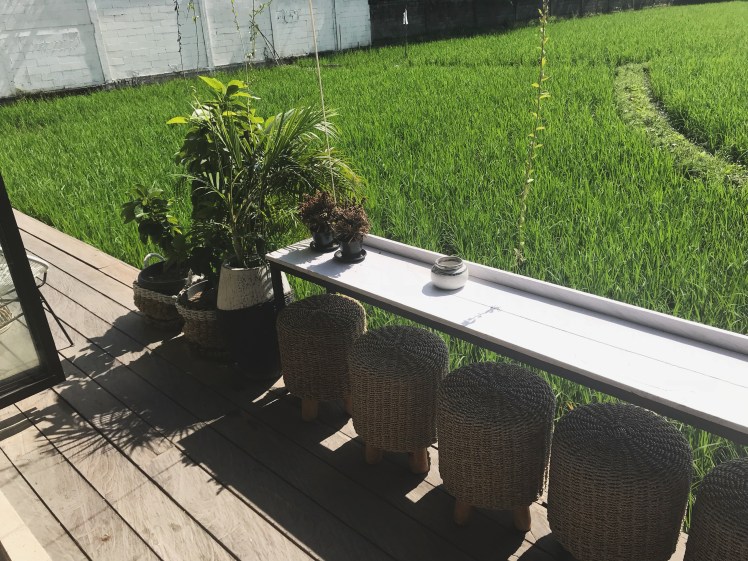 35646001_182948812546427_6530707655734853632_n