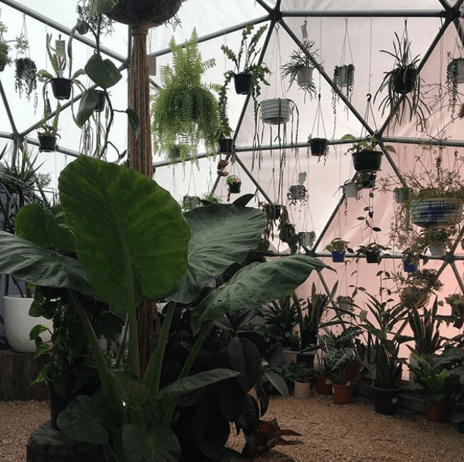 Screen Shot 2018-06-11 at 20.49.27